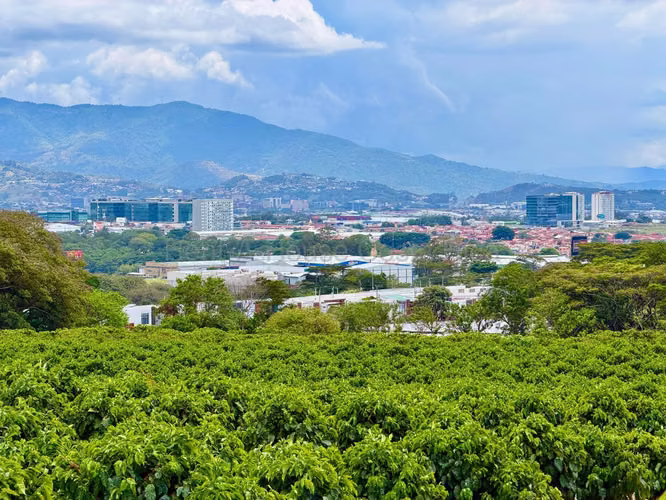 TERRENO PARA DESARROLLO EN SAN PABLO DE HEREDIA - Imagen 15