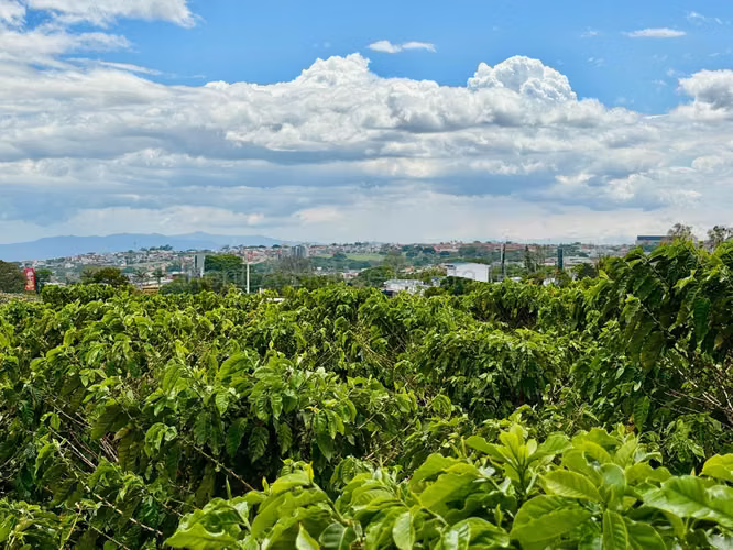 TERRENO PARA DESARROLLO EN SAN PABLO DE HEREDIA - Imagen 16