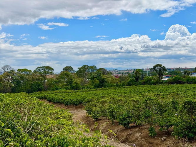 TERRENO PARA DESARROLLO EN SAN PABLO DE HEREDIA - Imagen 13