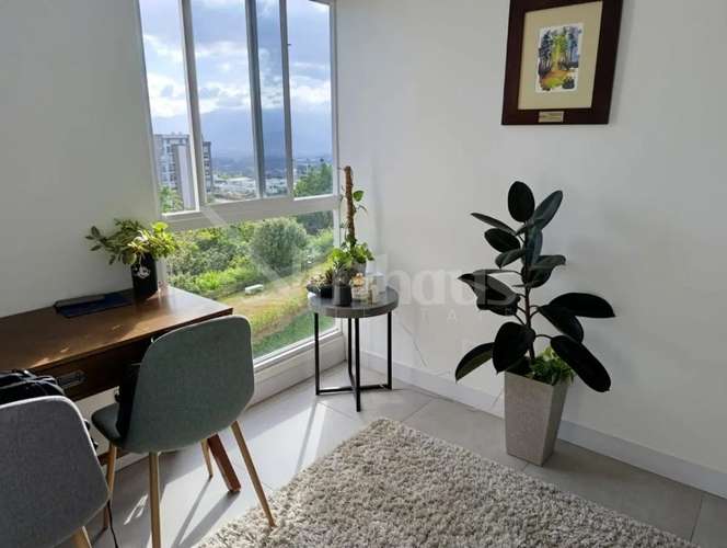 Apartamento en alquiler en Monte Alto, Id 43789 - Imagen 7