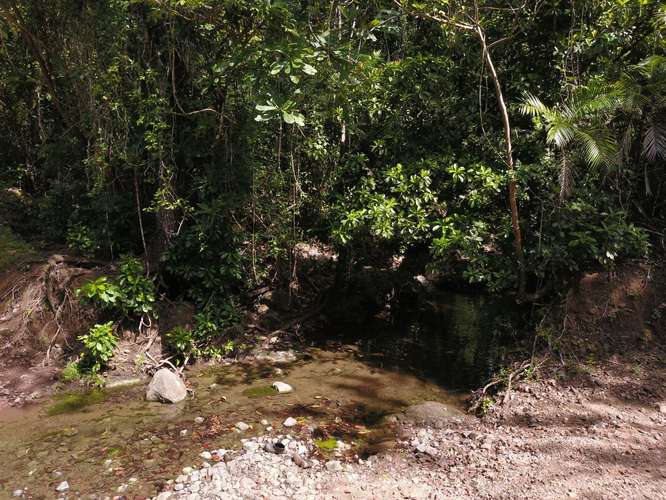 Finca en venta cerca de las playas, Nandayure Guanacaste - Imagen 3
