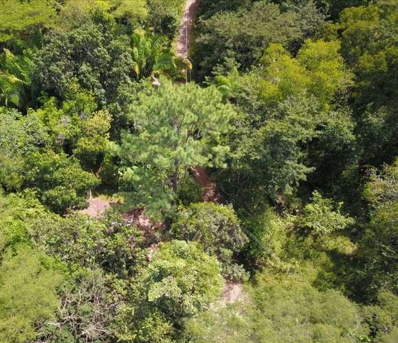 Finca en venta cerca de las playas, Nandayure Guanacaste - Imagen 6
