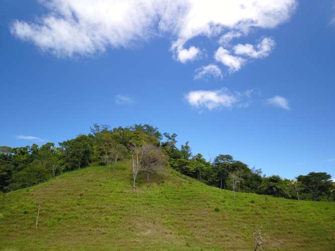 Finca en venta cerca de las playas, Nandayure Guanacaste - Imagen 9