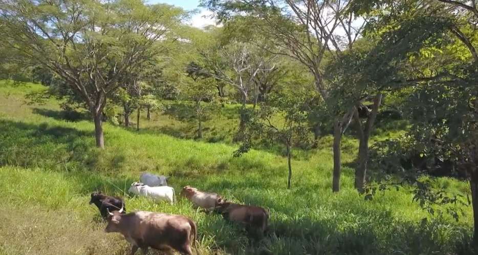 Finca en venta cerca de las playas, Nandayure Guanacaste - Imagen 2