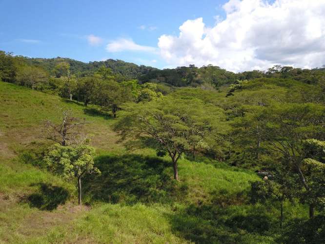 Finca en venta cerca de las playas, Nandayure Guanacaste - Imagen 8