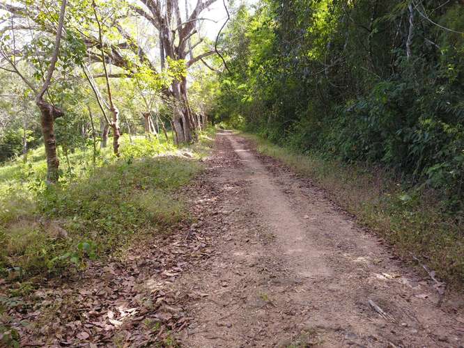 Finca en venta cerca de las playas, Nandayure Guanacaste - Imagen 11