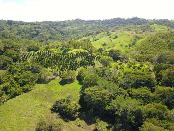 Finca en venta cerca de las playas, Nandayure Guanacaste - Imagen 10