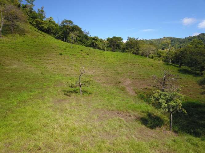 Finca en venta cerca de las playas, Nandayure Guanacaste - Imagen 7