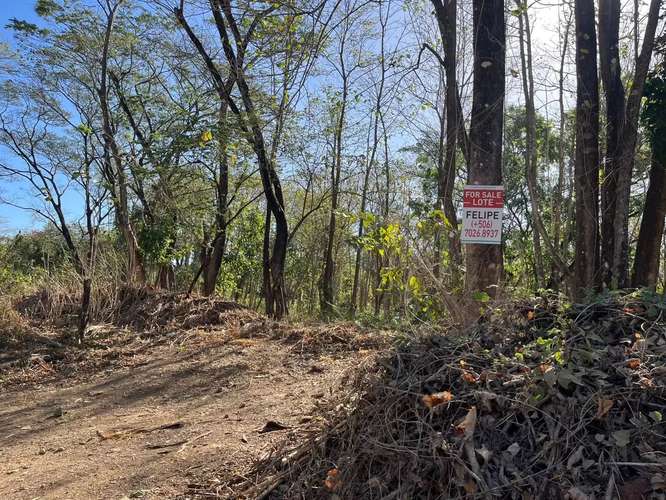 View lot in Santa Cruz
