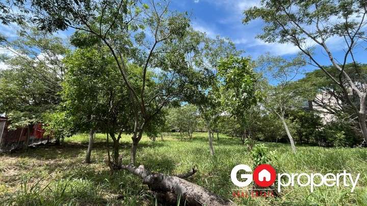 Venta de lote Comercial en Santa Ana, San José - 6167 - Imagen 7