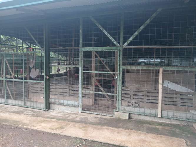 GRANJA AVICOLA SE VENDE EN SAN RAFAEL DE POAS, ALAJUELA - Imagen 8