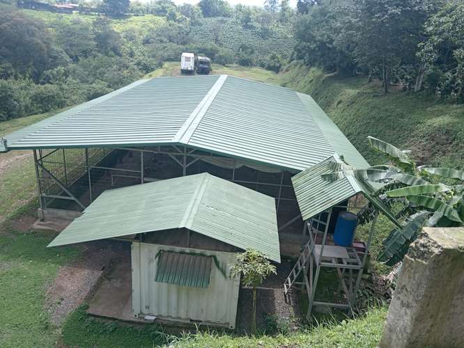 GRANJA AVICOLA SE VENDE EN SAN RAFAEL DE POAS, ALAJUELA - Imagen 2
