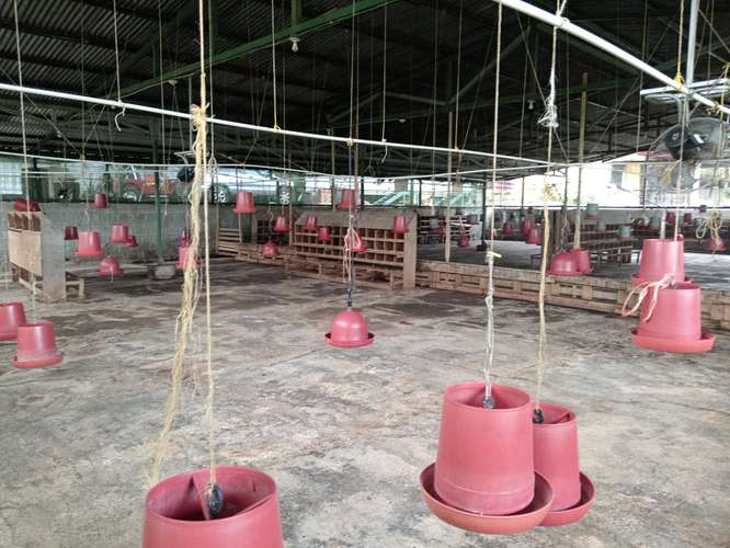 GRANJA AVICOLA SE VENDE EN SAN RAFAEL DE POAS, ALAJUELA - Imagen 9