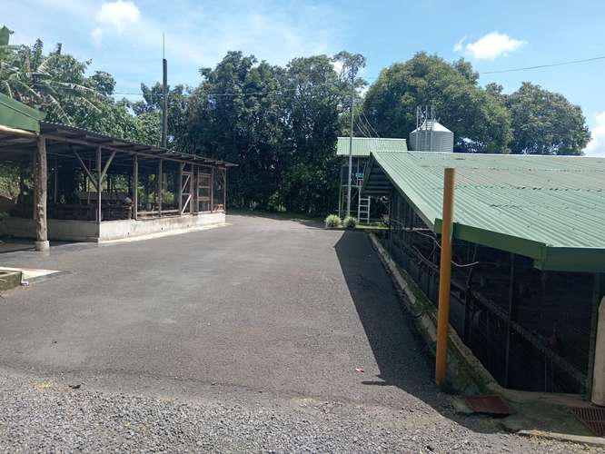 POULTRY FARM FOR SALE IN SAN RAFAEL DE POAS, ALAJUELA