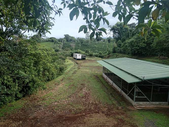 GRANJA AVICOLA SE VENDE EN SAN RAFAEL DE POAS, ALAJUELA - Imagen 7