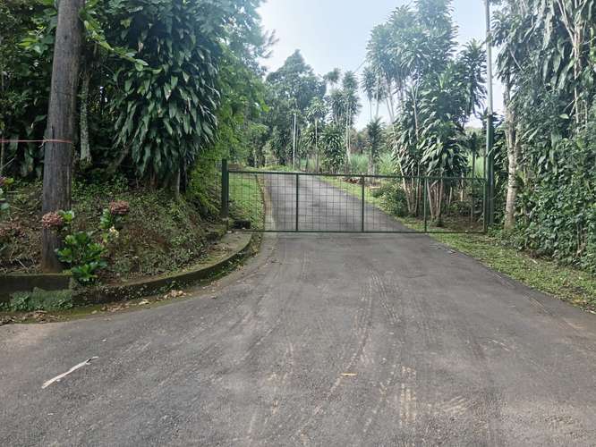GRANJA AVICOLA SE VENDE EN SAN RAFAEL DE POAS, ALAJUELA - Imagen 4