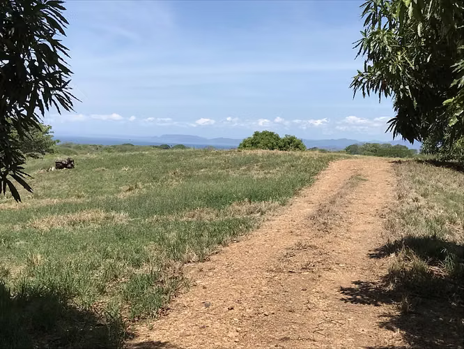 Finca de 8 hectáreas en Lagunilla, Garabito: vistas al mar y montañas - Imagen 4