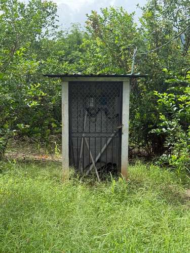Finca Productiva de Mango en Venta en Turrubares el Llano | 62.281 m² con Ingresos Activos - Imagen 8