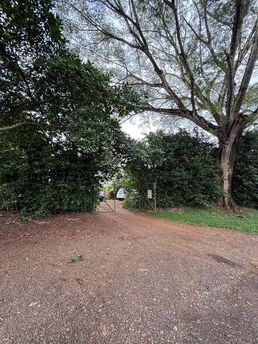 Finca Productiva de Mango en Venta en Turrubares el Llano | 62.281 m² con Ingresos Activos