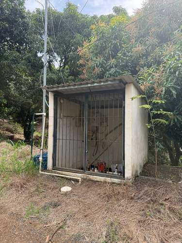 Finca Productiva de Mango en Venta en Turrubares el Llano | 62.281 m² con Ingresos Activos - Imagen 5
