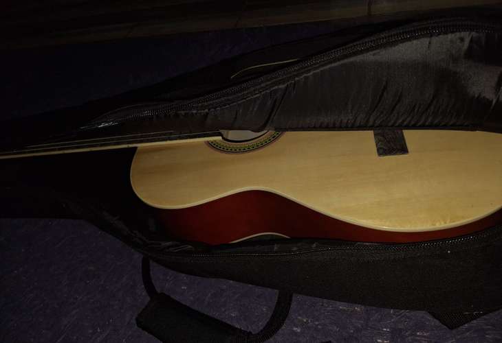 Guitarra Acústica Palmer PC-12 + Kit Completo de Accesorios (Excelente Estado)