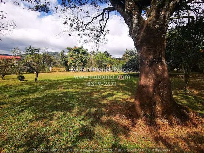 VENTA Finca de recreo con terreno plano, piscinas y casa en Corralillo, Cartago - Imagen 10