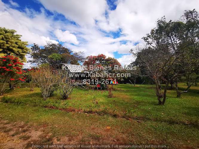 VENTA Finca de recreo con terreno plano, piscinas y casa en Corralillo, Cartago - Imagen 7