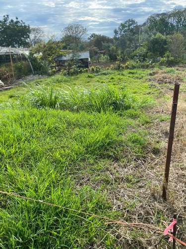 Lote en venta sobre Ruta 32 | Santo Domingo de Heredia | 45 millones - Imagen 4