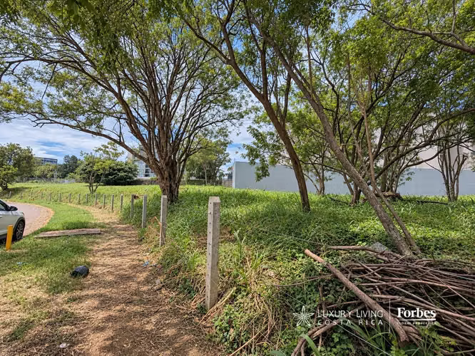 21563 - Lotes adjuntos a la venta en Real Cariari o por separado uso residencial - Imagen 8