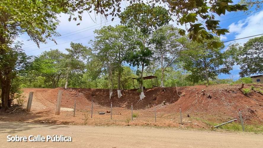 OPORTUNIDAD. Venta de lote 2.500m2 a tan solo 5 Minutos de Playa Potrero -04 - Imagen 7