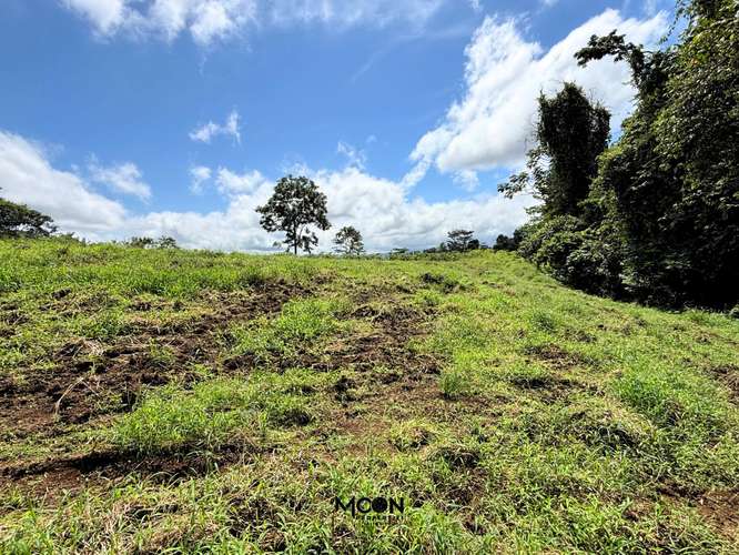 Terreno de 13.842 m² en Chachagua con Vista al Valle y Potencial de Desarrollo - Imagen 7