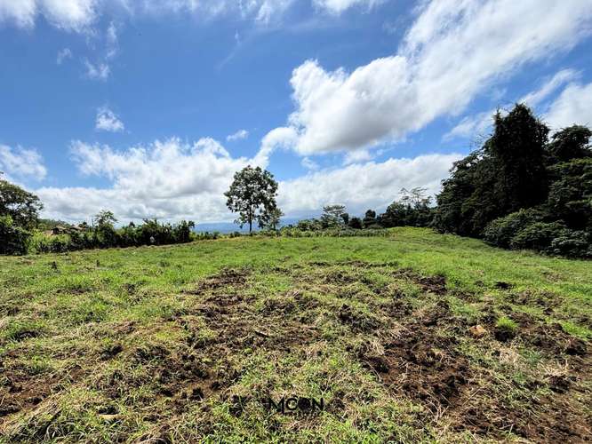 Terreno de 13.842 m² en Chachagua con Vista al Valle y Potencial de Desarrollo - Imagen 3