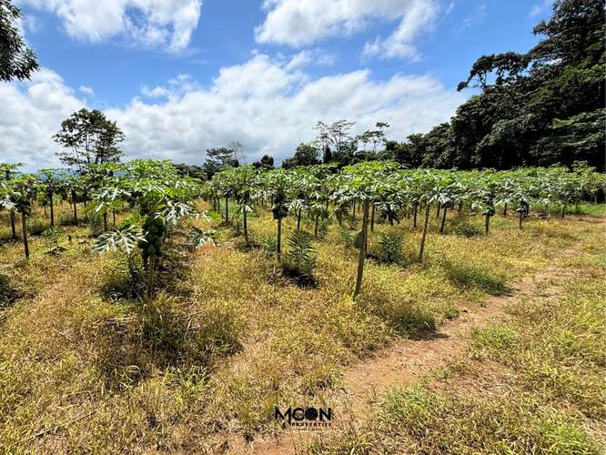 Terreno de 13.842 m² en Chachagua con Vista al Valle y Potencial de Desarrollo - Imagen 5