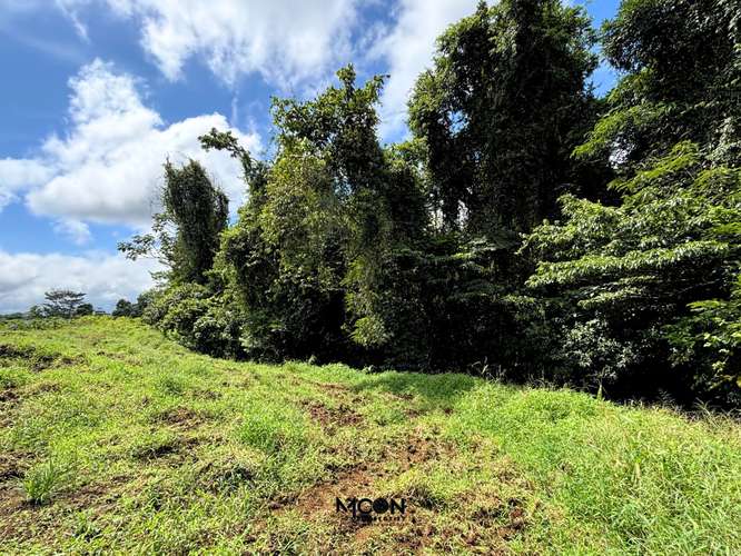 Terreno de 13.842 m² en Chachagua con Vista al Valle y Potencial de Desarrollo - Imagen 4