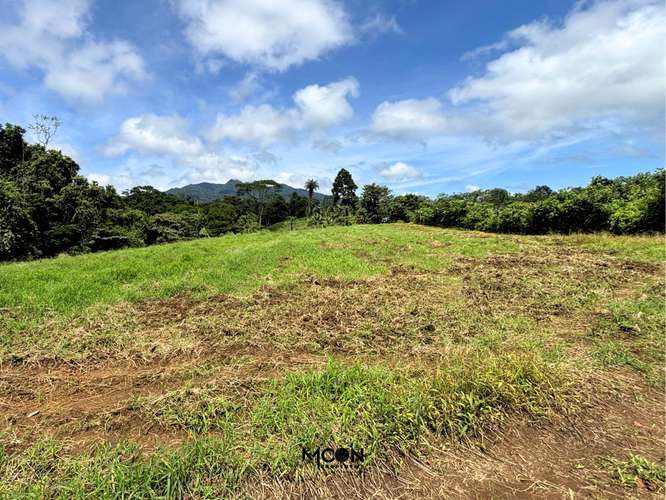 Terreno de 13.842 m² en Chachagua con Vista al Valle y Potencial de Desarrollo - Imagen 11