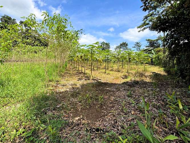 Terreno de 13.842 m² en Chachagua con Vista al Valle y Potencial de Desarrollo - Imagen 9