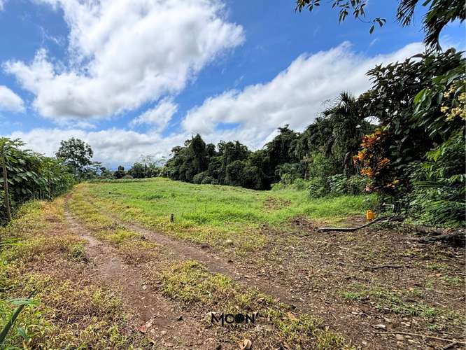 Terreno de 13.842 m² en Chachagua con Vista al Valle y Potencial de Desarrollo - Imagen 2