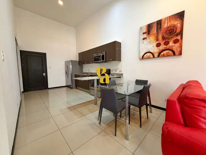 Venta de apartamento amueblado de 2 habitaciones en Santa Ana Centro - Imagen 4