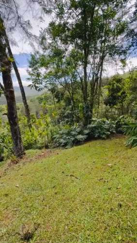 VENTA | Exclusiva finca de 5.3 hectáreas en El Guarco, Cartago ideal para proyecto, inversión o descanso - Imagen 13