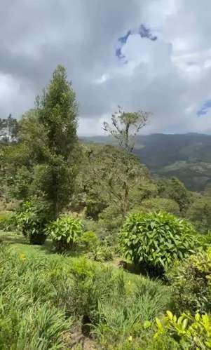 VENTA | Exclusiva finca de 5.3 hectáreas en El Guarco, Cartago ideal para proyecto, inversión o descanso - Imagen 15