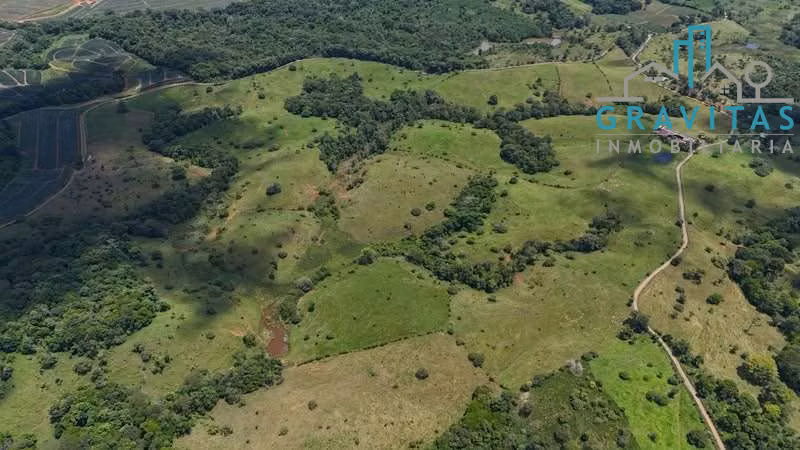 Venta de finca en San Carlos | 93,4 Ha | Ideal para ganado y cultivos | F 740 - Imagen 3