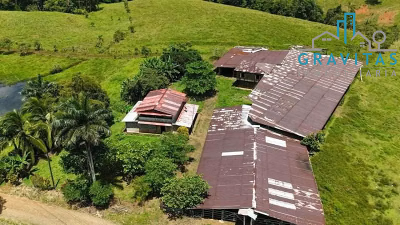 Venta de finca en San Carlos | 93,4 Ha | Ideal para ganado y cultivos | F 740 - Imagen 5