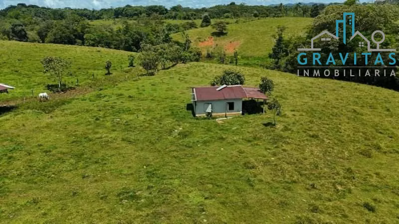 Venta de finca en San Carlos | 93,4 Ha | Ideal para ganado y cultivos | F 740 - Imagen 14