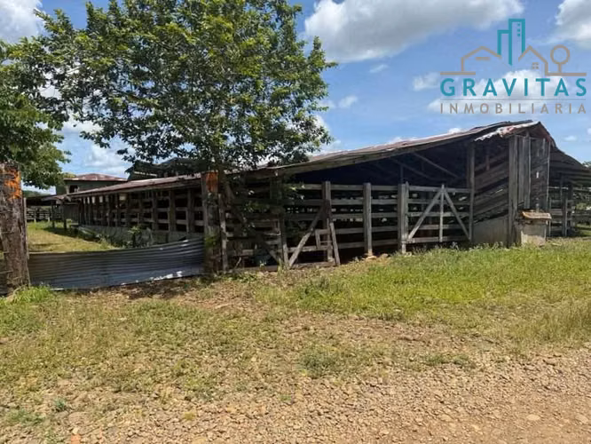 Venta de finca en San Carlos | 93,4 Ha | Ideal para ganado y cultivos | F 740 - Imagen 10