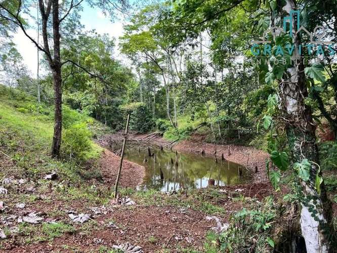 Venta de finca ganadera en San Carlos | 58 Ha | Con agua y luz | F 744 - Imagen 14