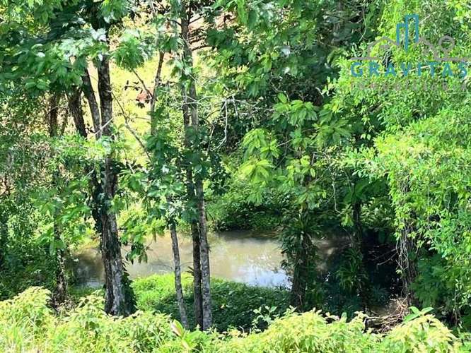 Venta de finca ganadera en San Carlos | 58 Ha | Con agua y luz | F 744 - Imagen 11