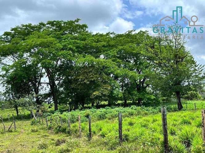 Venta de finca ganadera en San Carlos | 58 Ha | Con agua y luz | F 744 - Imagen 9