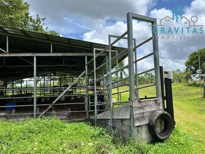 Venta de finca ganadera en San Carlos | 58 Ha | Con agua y luz | F 744 - Imagen 7