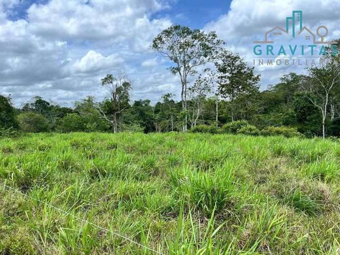 Venta de finca ganadera en San Carlos | 58 Ha | Con agua y luz | F 744 - Imagen 13