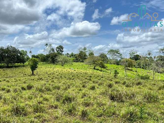Venta de finca ganadera en San Carlos | 58 Ha | Con agua y luz | F 744 - Imagen 8